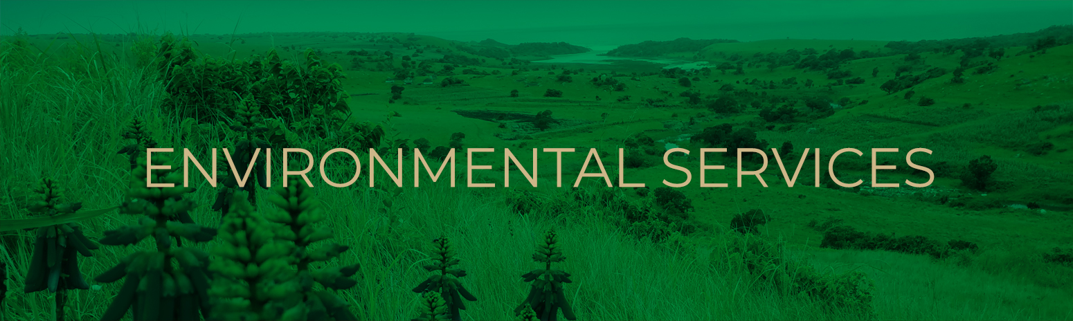 environmental