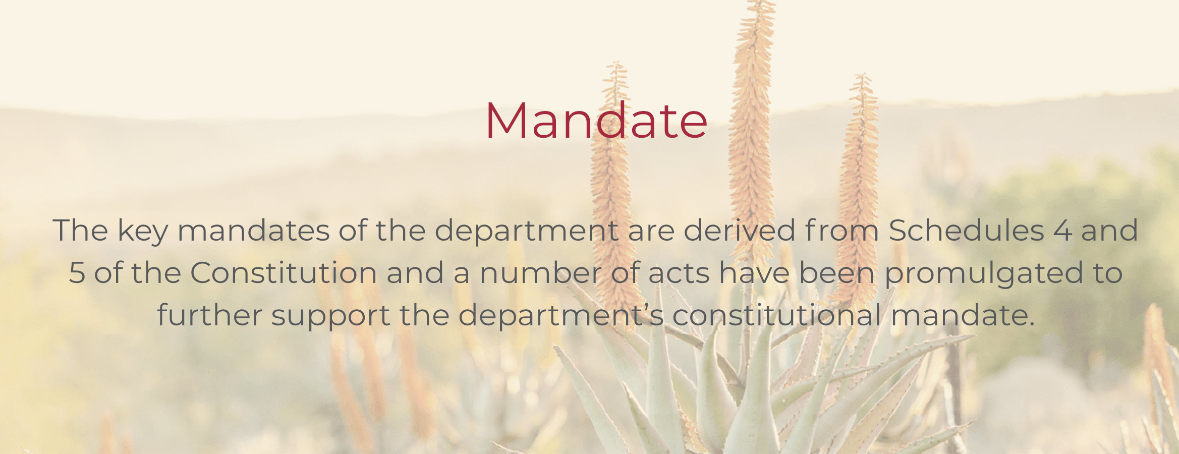 mandate with text